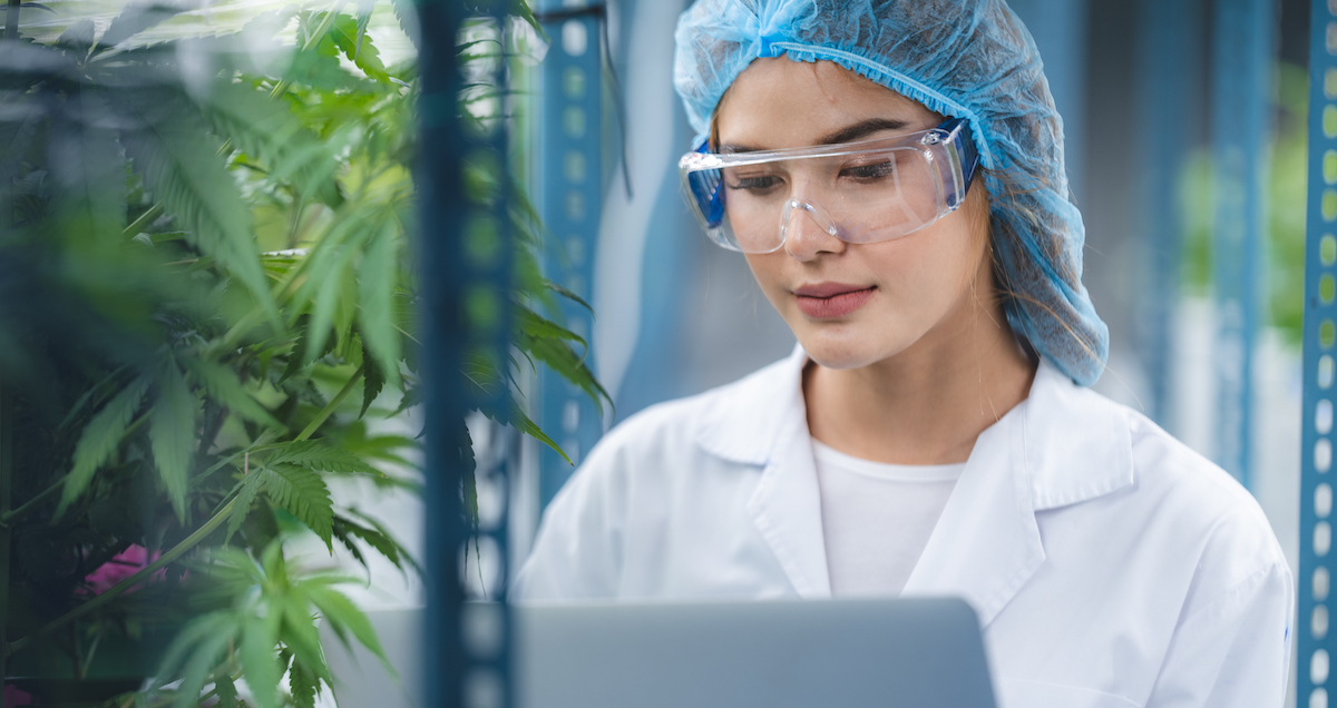 The Benefits of AI-Driven Cannabis Solutions for Medical Patients in Oklahoma